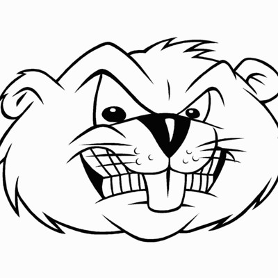 Beaver